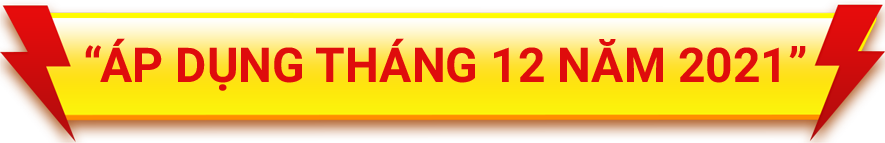 Áp dụng tháng 01 năm 2022